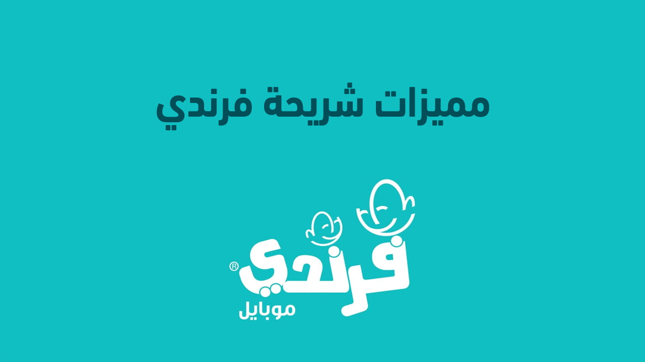 مميزات شريحة فرندي