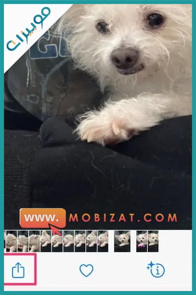 كيف اطبع من الجوال